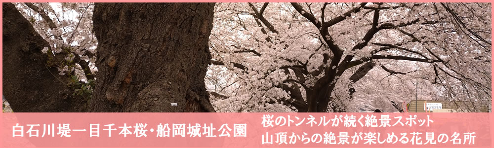 2025�N4�����ΐ���ڐ�{��