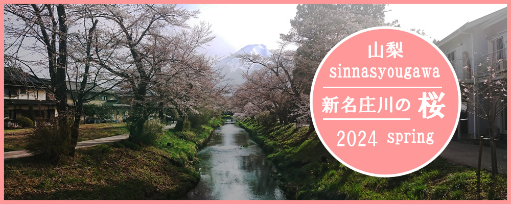 2024�N4���V�������