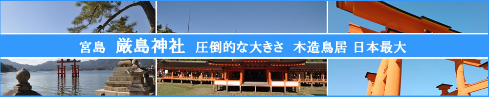 2024�N10���{���@�����_��