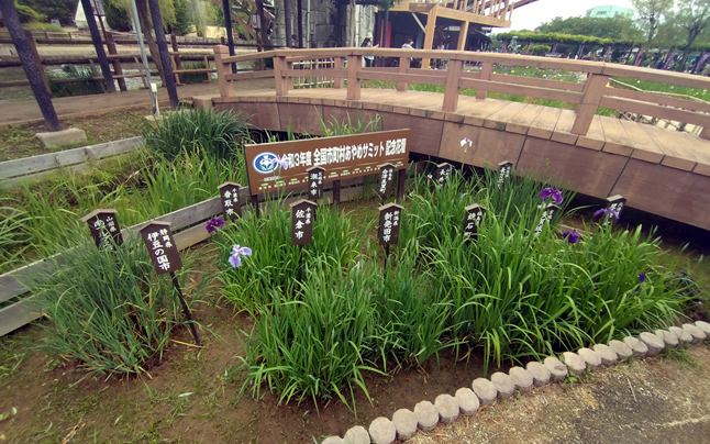 ���D�W�]��