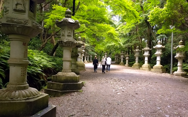 ����_�{�̎Q��