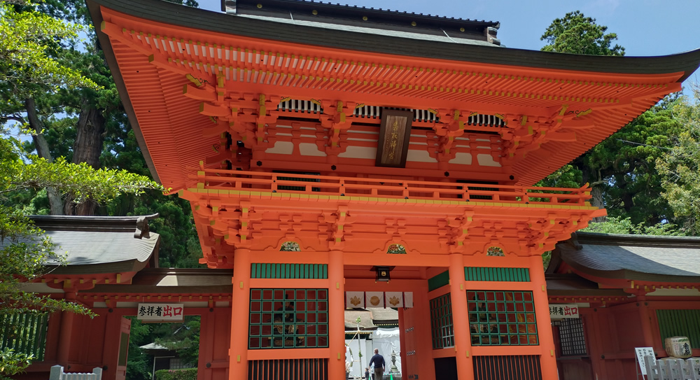 ����_�{�@����