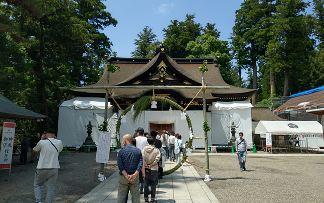 �q�a�h�蒼������