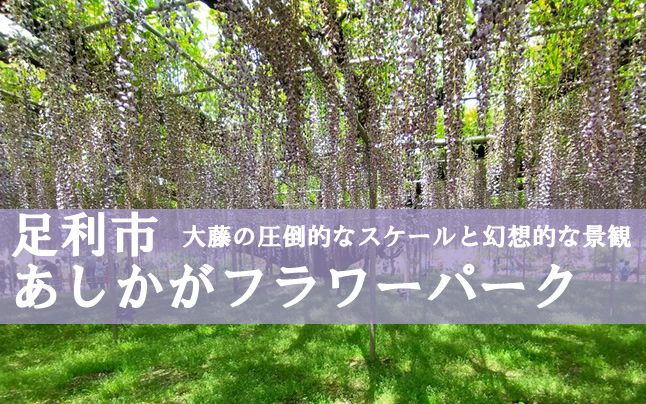 ���������t�����[�p�[�N