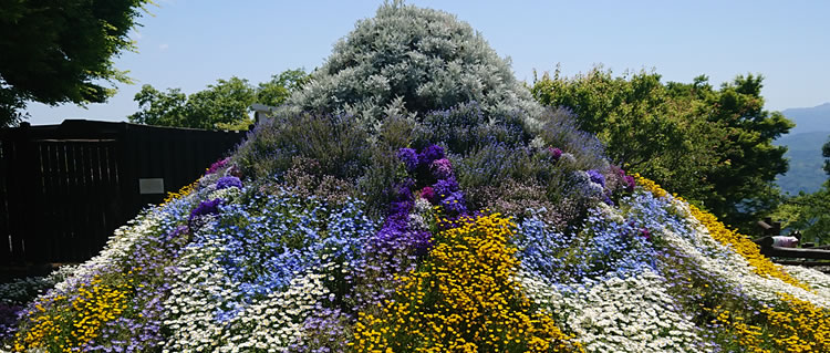 �Ƀe���X�@�Ԃ̕x�m�R