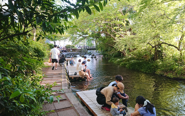 �����q��