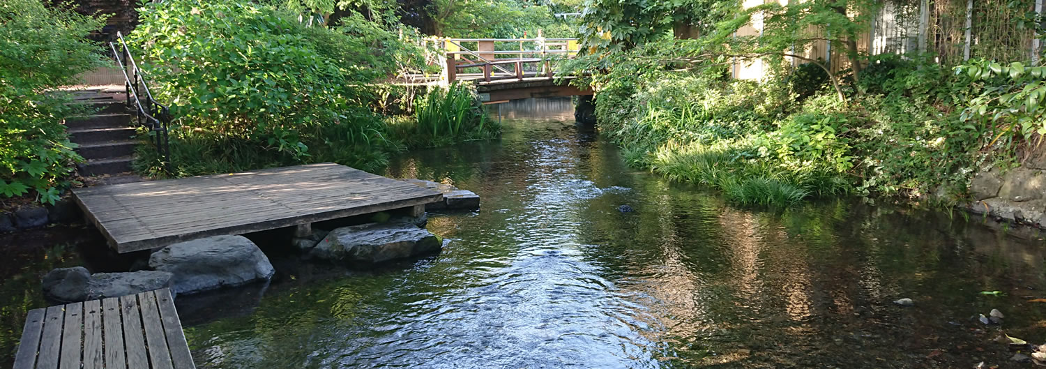 �O�� ������