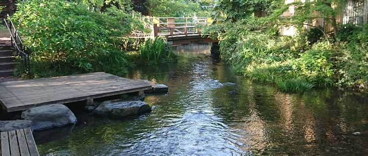 �O�� ������