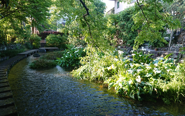 �Ƃѐ΁@�����q��