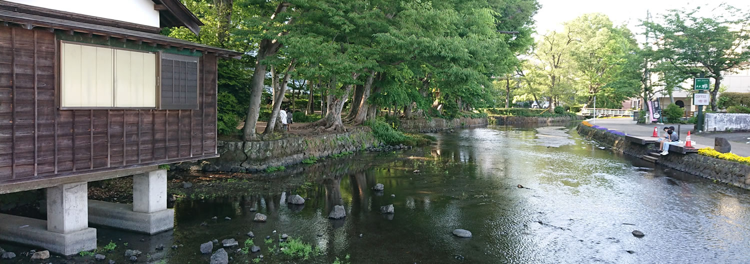 �O������