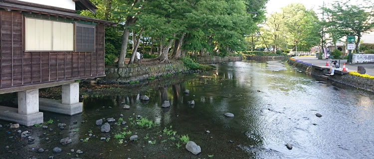 �O������