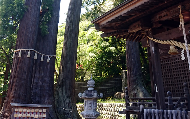 ���}�_�Ёi�Ђ����񂶂�j