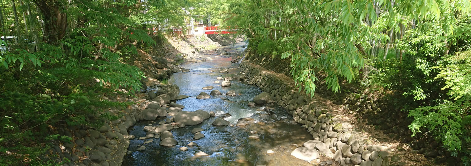 �C�P����