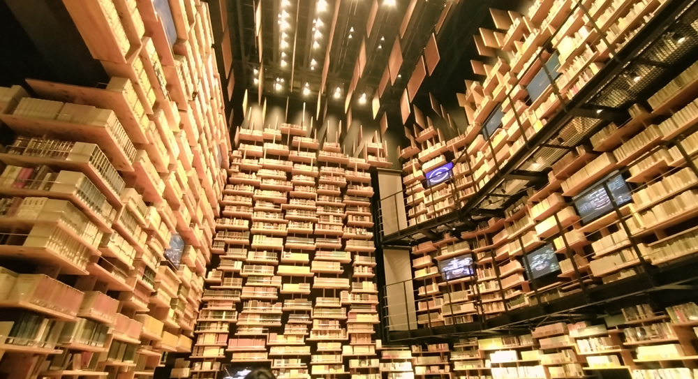 �{�I����