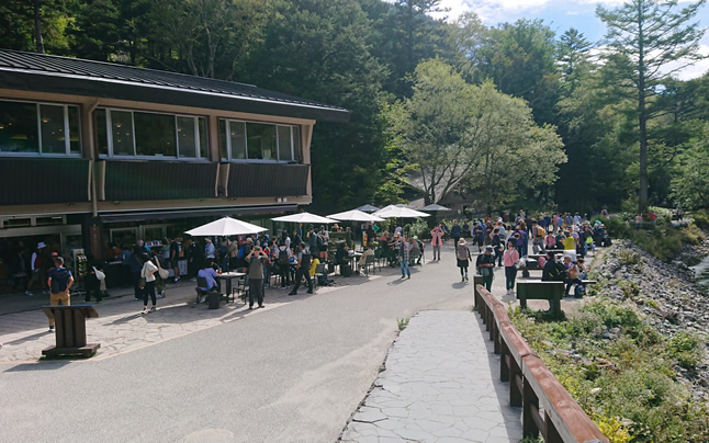 �͓����t�߂̊ό��q