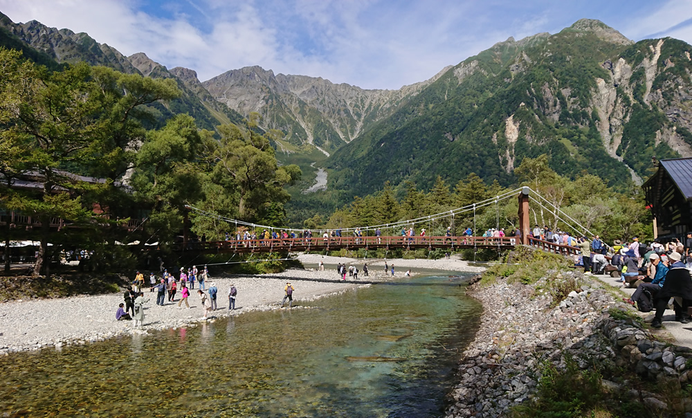 �͓����@�䍂�A����i