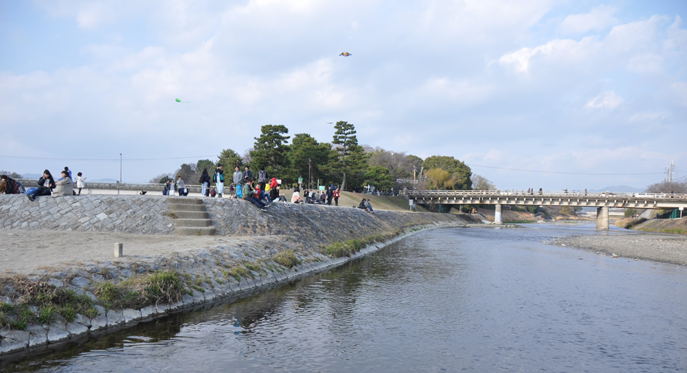 ����f���^�@�e���̏�