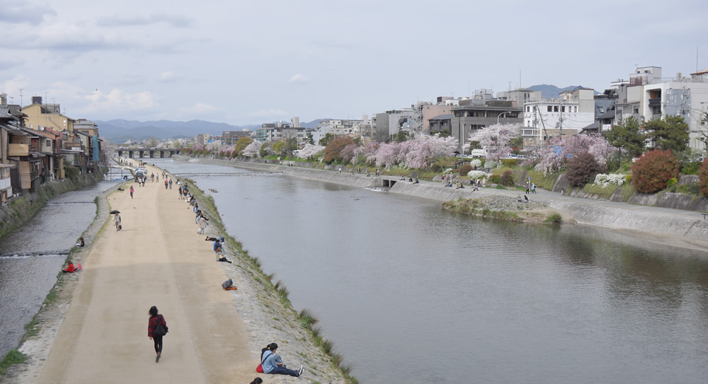 �l��勴����̒���