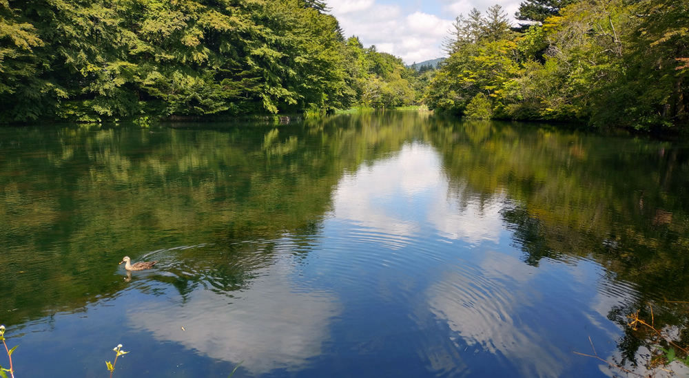 �_��r�i�����΂����j