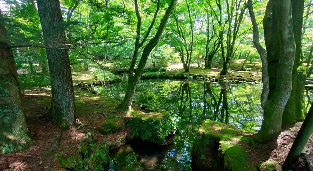 �ΖL���ȉ_��r