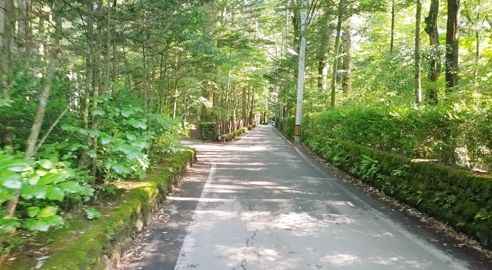 �I�[�f�B�g���A���ʂ�