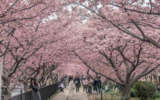 ���̃g���l��