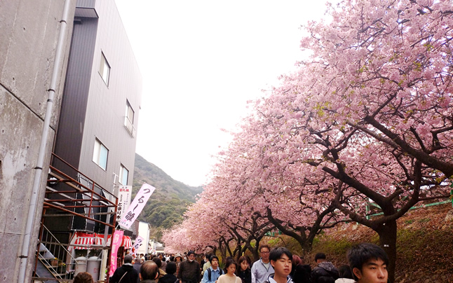 �͒Éw���Ӂ@�͒Í�