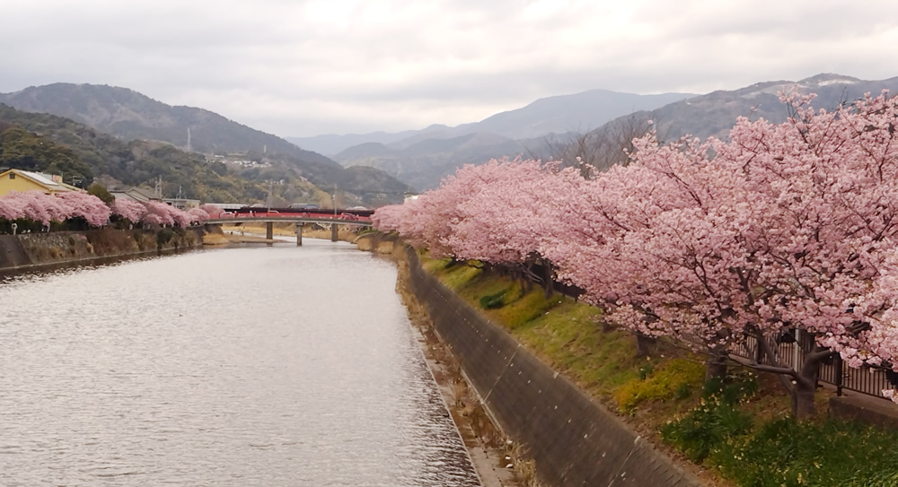 浜橋からの眺め