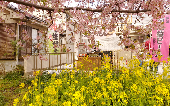 �͒Í��ƍ؂̉�