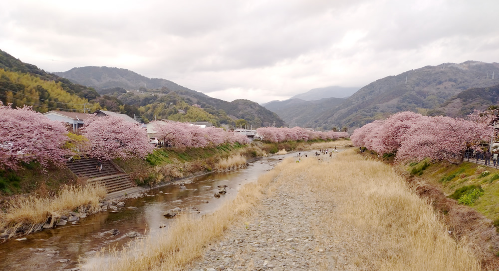 来宮橋からの眺め