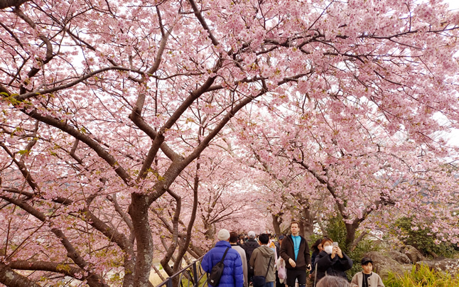 ���̃g���l��