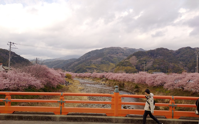 �L�򋴂���̒���