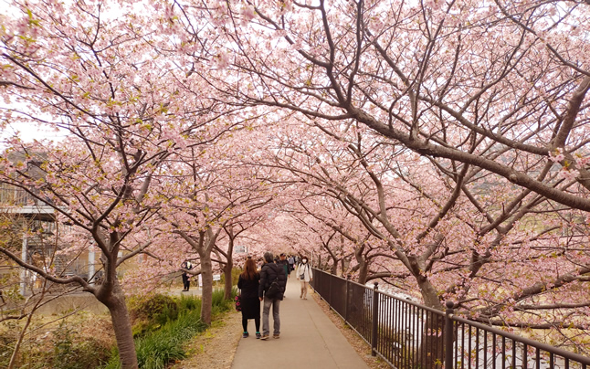 ������̃g���l��