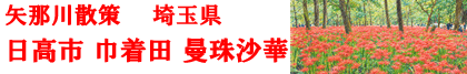 2026�N9���@�В��c