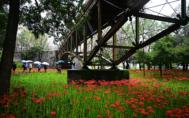 �����������ƙ֎ꍹ��