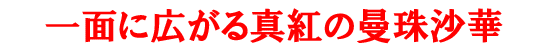 ��ʂɍ炫�ւ�֎ꍹ��