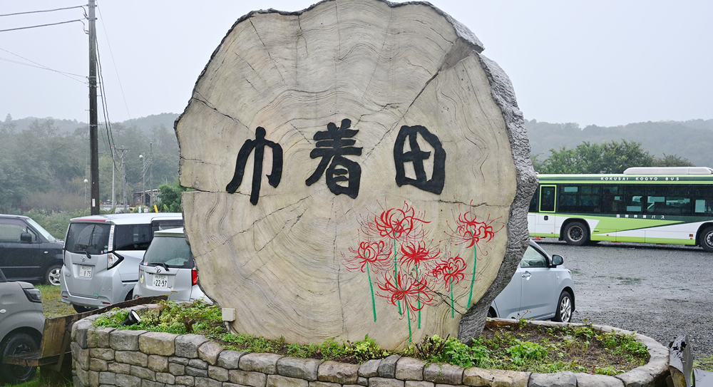 巾着田