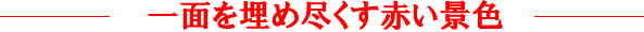 �Ԃ��i�F