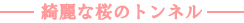 ��ߐ��