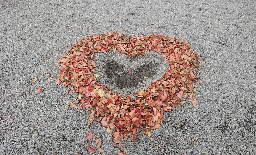 ���ځi���̂߁j