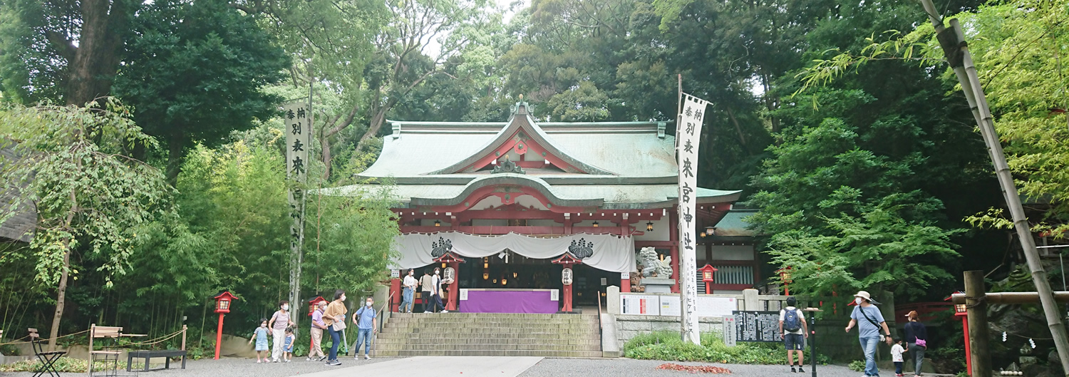 ���{�_��