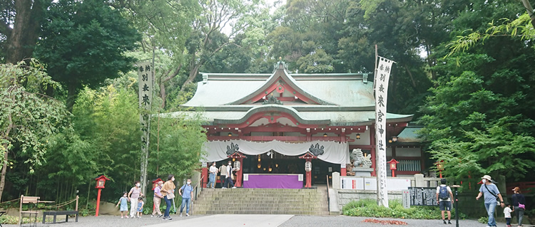 ���{�_��