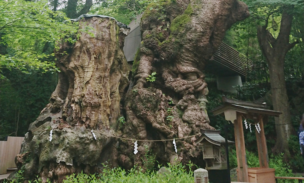 ���(���������̂��j