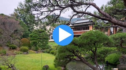 �N�_�t����