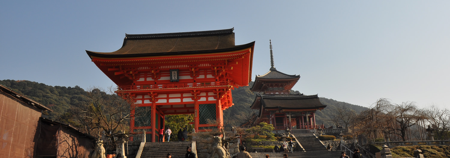 �������m����