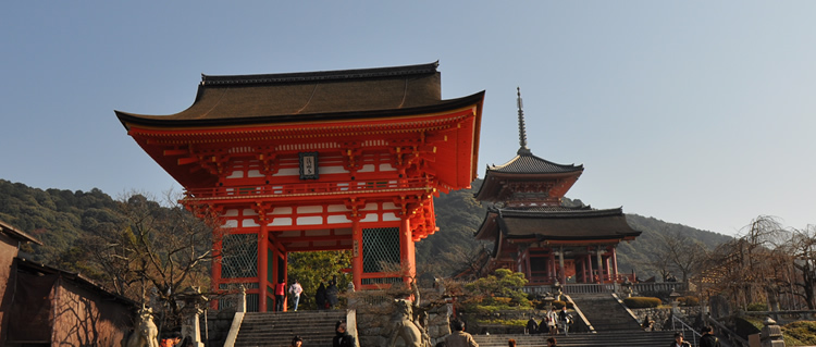 �������m����