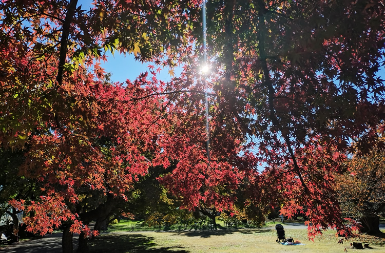 ���z�̌��ŐF���ς��܂�