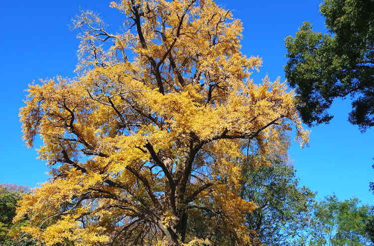 �����300�N