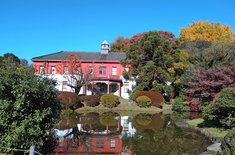 ������w�������������� ���ΐ앪��