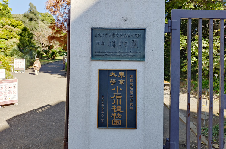 ���ΐ�A����